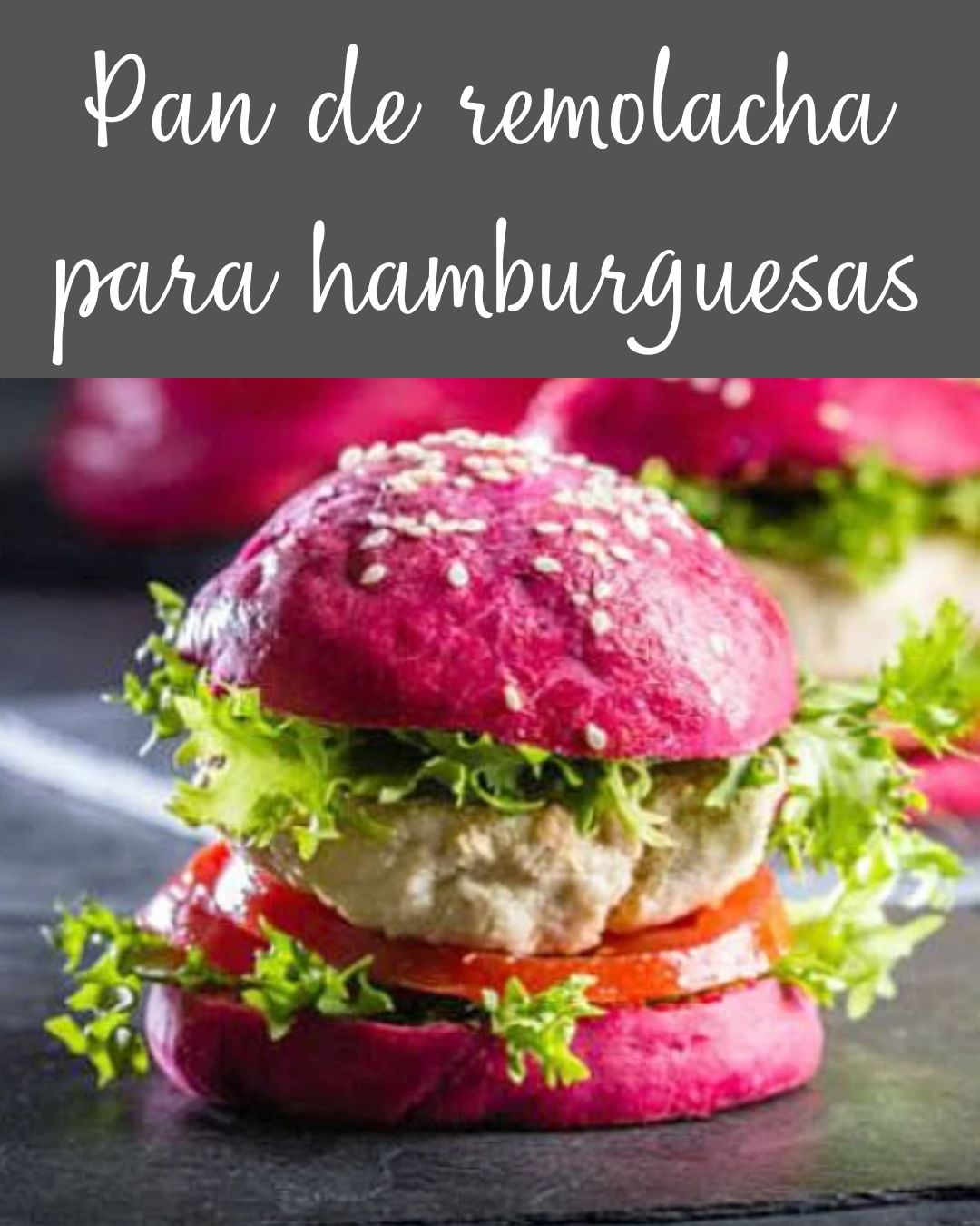 Entre Harinas Sin Gluten Volumen 2